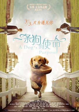 骚虎视频在线